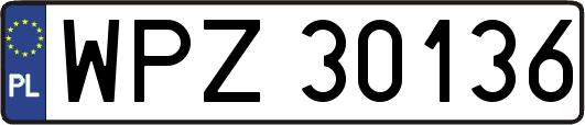 WPZ30136