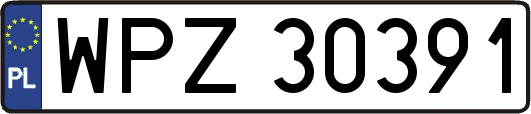 WPZ30391