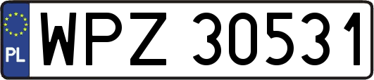 WPZ30531