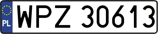 WPZ30613