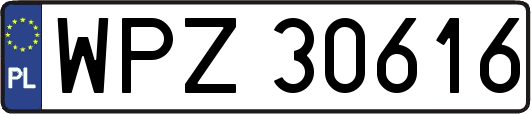 WPZ30616