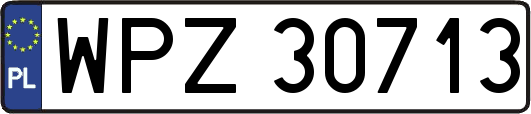 WPZ30713