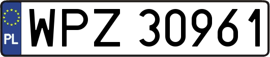 WPZ30961