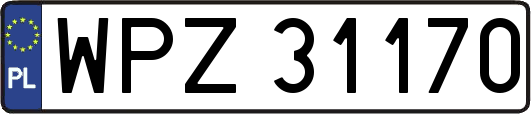 WPZ31170