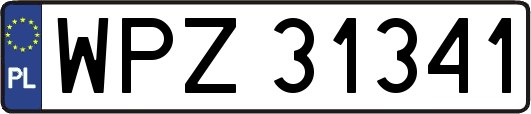 WPZ31341