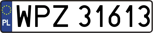 WPZ31613