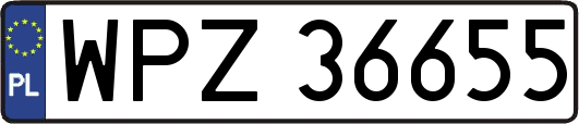 WPZ36655
