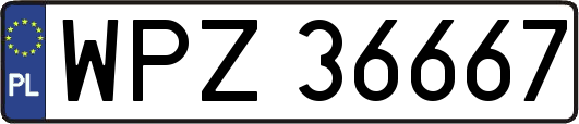 WPZ36667