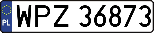 WPZ36873