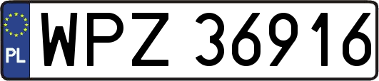 WPZ36916