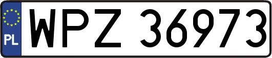 WPZ36973