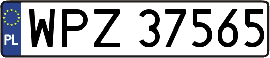 WPZ37565