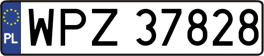 WPZ37828