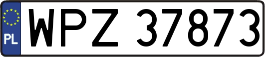WPZ37873