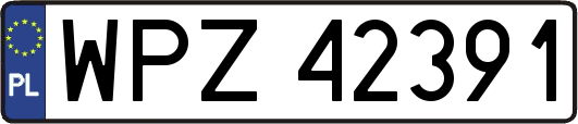 WPZ42391
