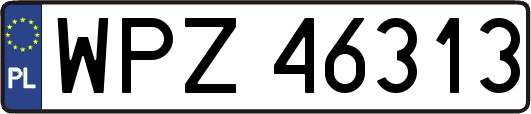 WPZ46313