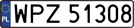 WPZ51308