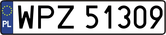 WPZ51309