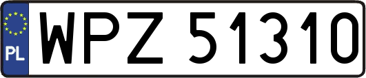 WPZ51310