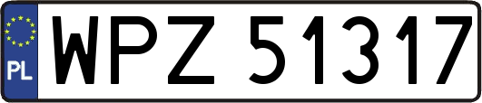 WPZ51317