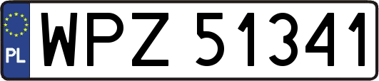 WPZ51341