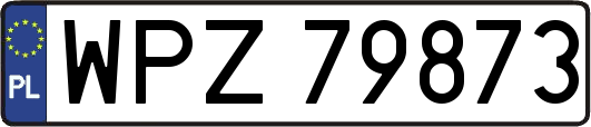WPZ79873