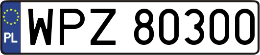 WPZ80300
