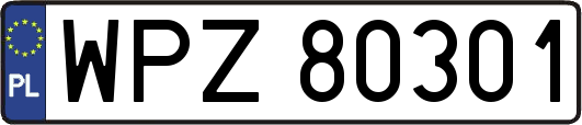 WPZ80301