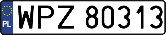 WPZ80313