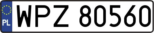 WPZ80560