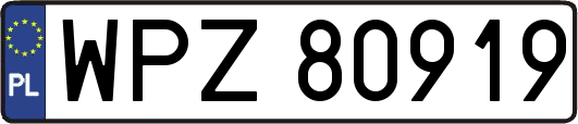 WPZ80919