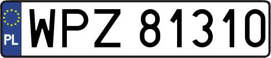 WPZ81310