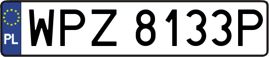 WPZ8133P