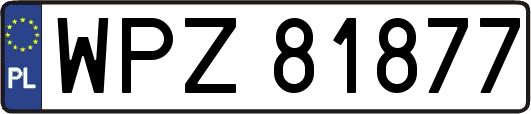 WPZ81877