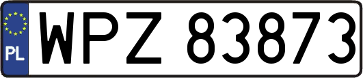 WPZ83873