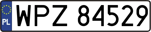 WPZ84529