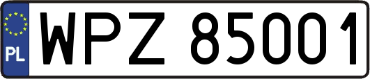WPZ85001