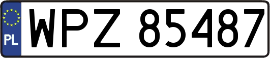 WPZ85487