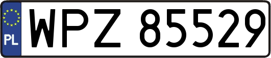 WPZ85529