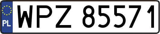 WPZ85571