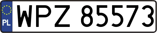 WPZ85573