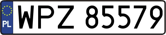 WPZ85579
