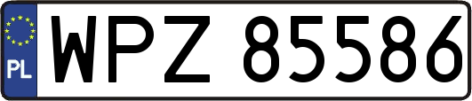 WPZ85586