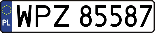 WPZ85587