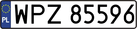 WPZ85596