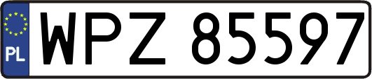 WPZ85597