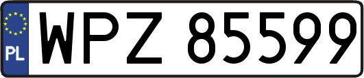 WPZ85599