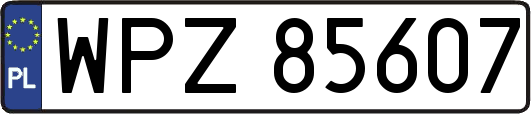 WPZ85607