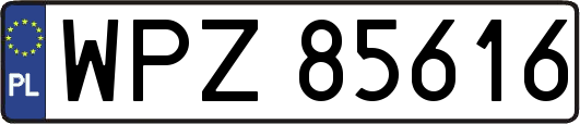 WPZ85616