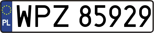 WPZ85929